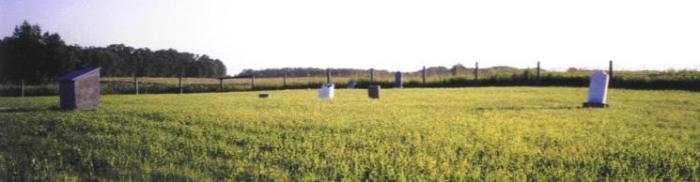 Homestead, Springside